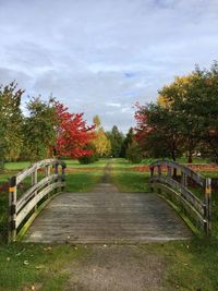 Walkway amidst trees against sky during autumn