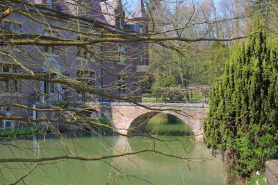 Arch bridge over river amidst trees