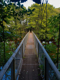 View of footbridge in forest