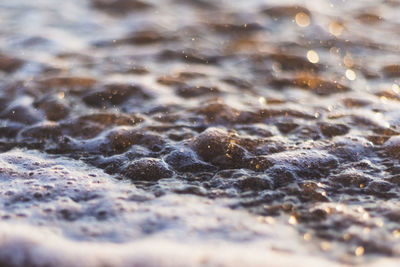 Detail shot of rocks on beach