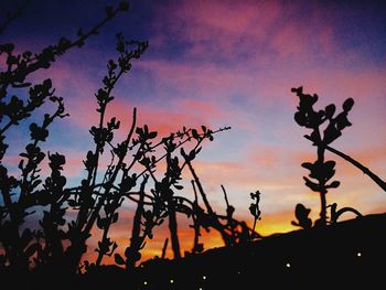 Silhouette of trees against sky at dusk