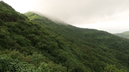 Scenic view of green mountains against sky