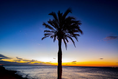 Silhouette palm tree by sea against sky at sunset