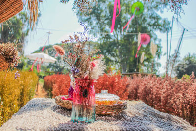 Red flowers on table at yard