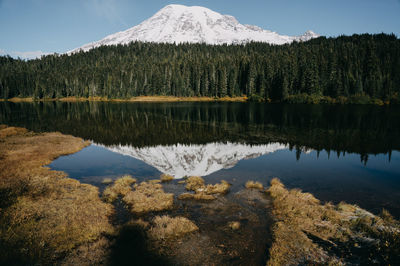 Scenic view of lake by trees against sky