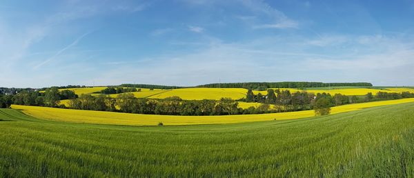 Scenic view of field against sky