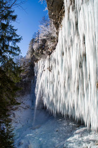 Scenic view of waterfall