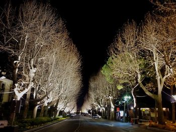 Illuminated street amidst trees against clear sky at night