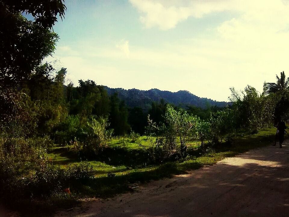 mountain, sky, tranquil scene, tree, tranquility, landscape, scenics, beauty in nature, nature, mountain range, cloud, non-urban scene, cloud - sky, road, growth, green color, the way forward, dirt road, hill, remote