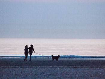 Silhouette dog on beach against sky