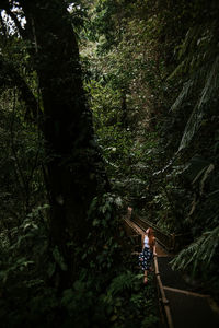 Young woman sitting on narrow footbridge surrounded by tall lush green tropical vegetation and looking up while exploring nature during summer adventure in alajuela province of costa rica