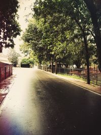 Empty road along trees