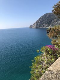 Scenic view of sea against clear sky