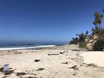 Scenic view of beach against clear blue sky