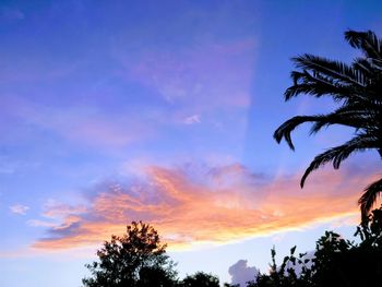 Low angle view of silhouette trees against sky