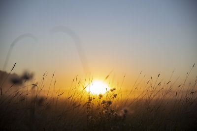 Scenic view of sunset