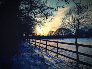 Silhouette trees against sky during winter