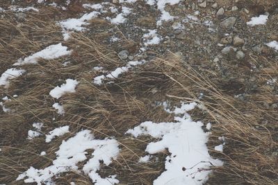 High angle view of snow on field during winter