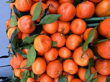 High angle view of oranges in market