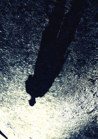 Low section of person standing on street