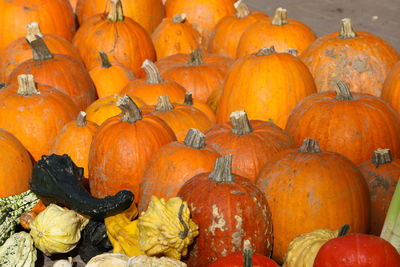 Full frame shot of pumpkins in market