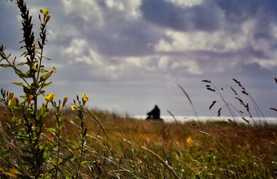 Scenic view of field against cloudy sky