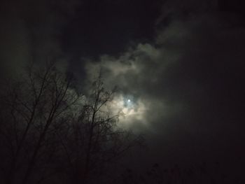 Low angle view of silhouette trees against sky at night