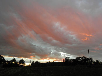 Silhouette of trees against dramatic sky
