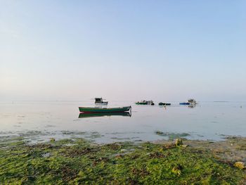 Boats moored at shore