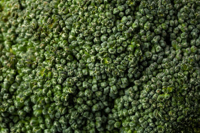 Full frame shot of vegetables