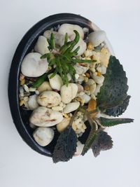 Directly above shot of fruits in bowl on table