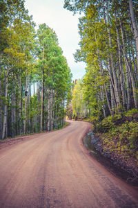 Dirt road amidst trees in forest against sky