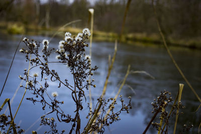 Scenic view of lake against cloudy sky