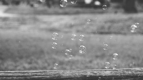 Close-up of water drops on leaf