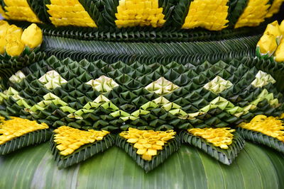 High angle view of yellow leaves
