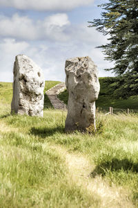 Old ruins on grassy field