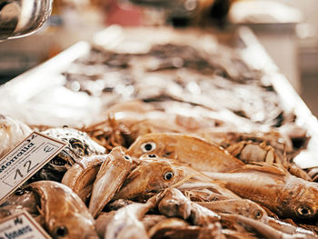 Close-up of fish for sale