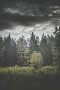 Scenic view of landscape against cloudy sky