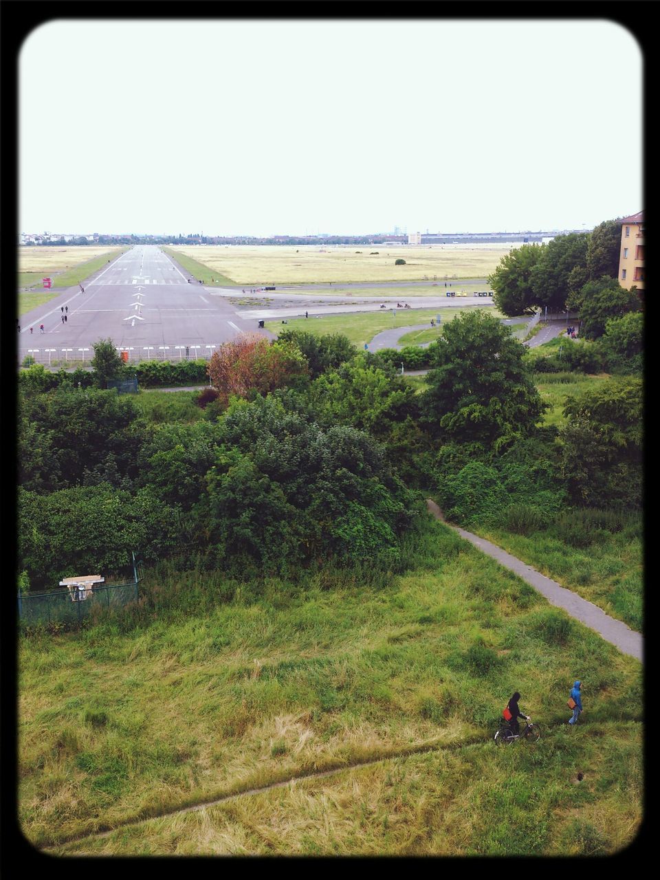 PEOPLE ON FIELD BY TREES AGAINST SKY