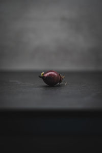 Close-up of fruits on table