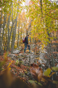 Adventurer ascends to final point on a rock in the autumn forest in strazovske mountains, slovakia