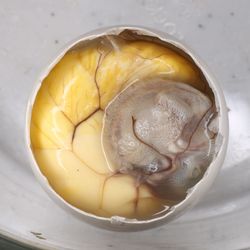 High angle view of lemon in plate