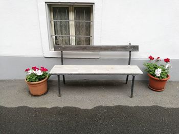 Potted plants on window sill