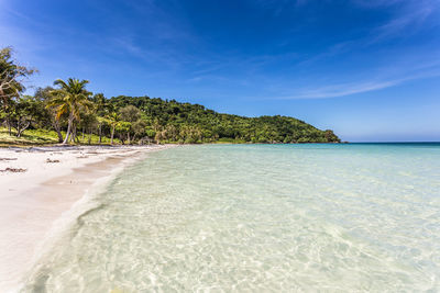 Scenic view of beach against blue sky