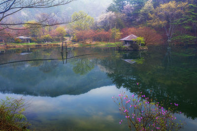 Scenic view of lake by trees against sky