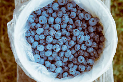 High angle view of blueberries