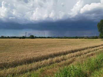 Scenic view of agricultural field against sky