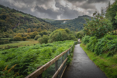 People hiking on a trail in glendalough with misty autumn forest and mountains, ireland