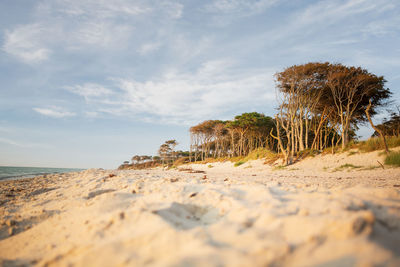 Surface level of beach against sky