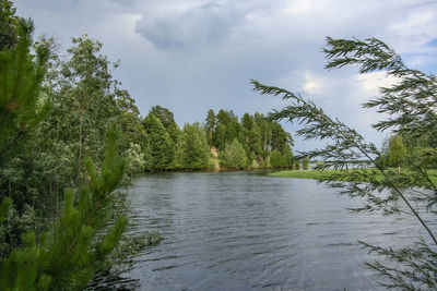 Scenic view of river amidst trees in forest against sky